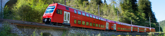 Red double-decker train traveling on tracks through a lush, green forested area, with trees and a tunnel visible in the background.