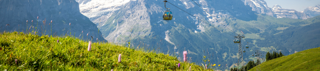 Scenic mountain landscape with a grassy slope, wildflowers, and a cable car ascending through mountainous terrain under a clear blue sky.