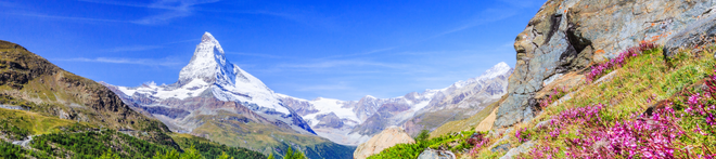 Snow-capped mountain peak under clear blue sky, rocky foreground with vibrant pink flowers and lush green slopes in a scenic alpine landscape.